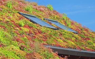 Brayfordhill living roof systems